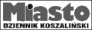 (Miasto)